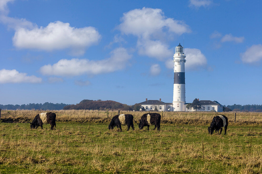 Leuchtturm Langer Christian in Kampen, Sylt, Schleswig-Holstein, Deutschland