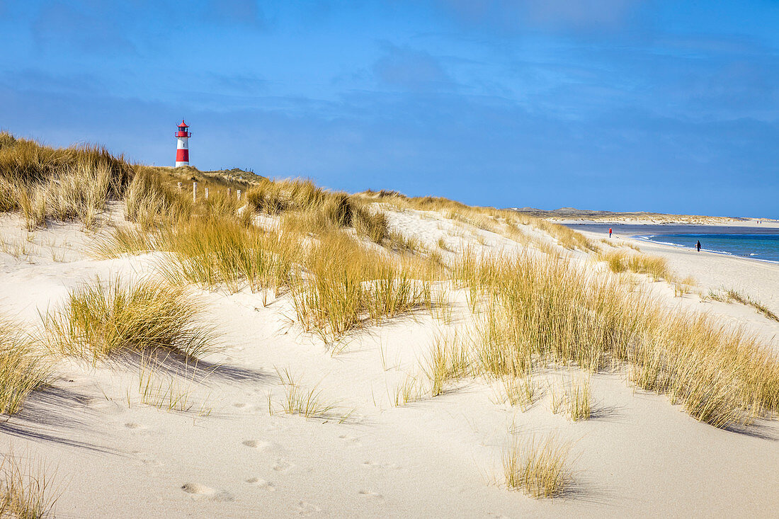 Dune landscape with List-Ost lighthouse on the Ellenbogen Peninsula, Sylt, Schleswig-Holstein, Germany