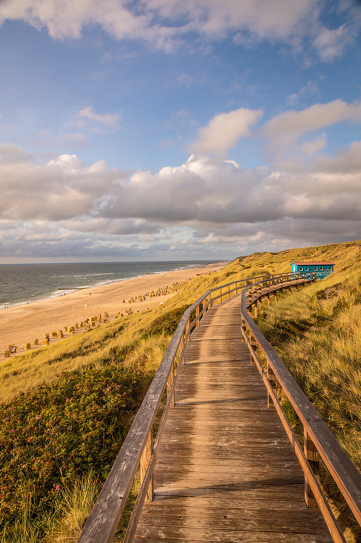 Holzbohlenweg am Kliff bei Wenningstedt, Sylt, Schleswig-Holstein, Deutschland