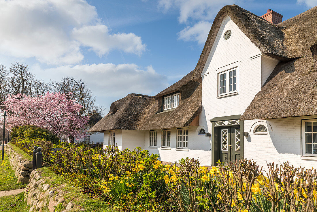 Thatched-roof houses with Friesenwall in Keitum, Sylt, Schleswig-Holstein, Germany