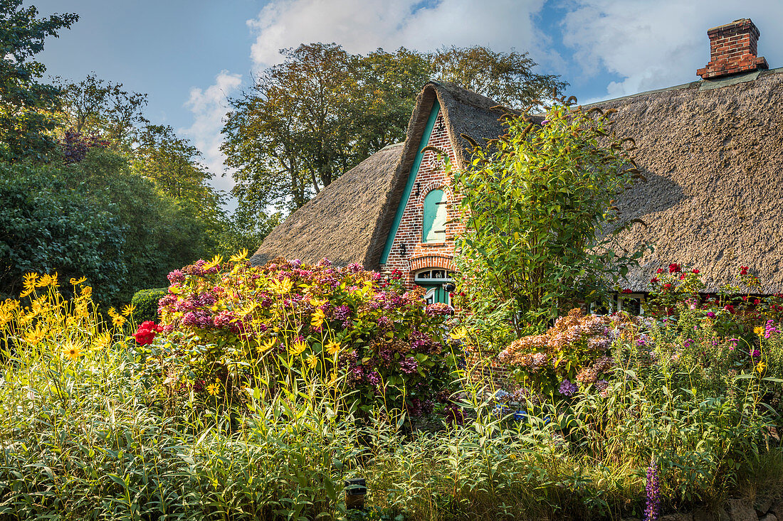 Historic farm with cottage garden in Keitum, Sylt, Schleswig-Holstein, Germany