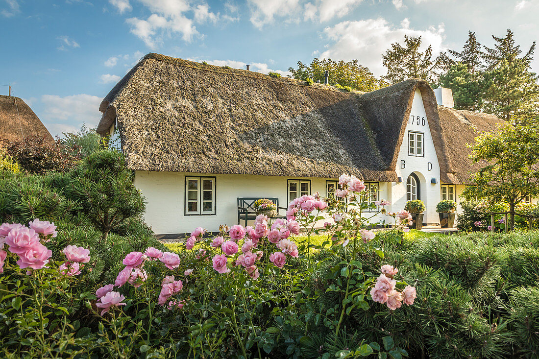 Historic thatched courtyard in Keitum, Sylt, Schleswig-Holstein, Germany