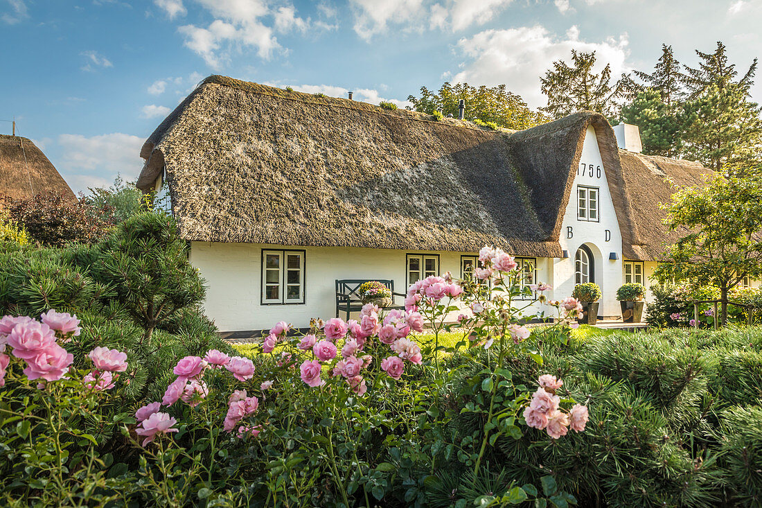 Historischer reetgedeckter Hof in Keitum, Sylt, Schleswig-Holstein, Deutschland