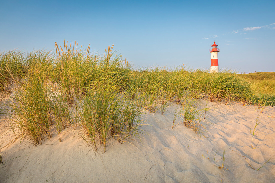 List-Ost lighthouse on the Ellenbogen Peninsula, Sylt, Schleswig-Holstein, Germany