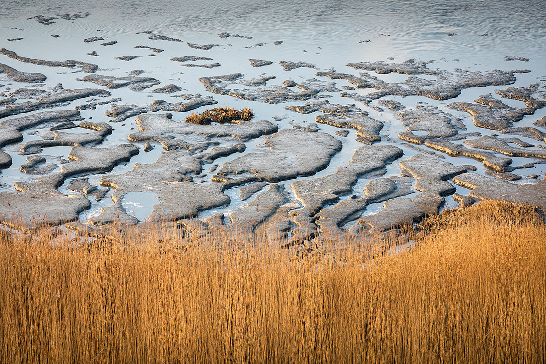 Mudflat landscape on Morsumer Kliff, Sylt, Schleswig-Holstein, Germany
