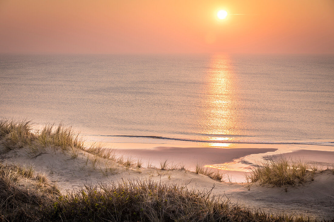 View from the dunes to the west beach of Kampen, Sylt, Schleswig-Holstein, Germany