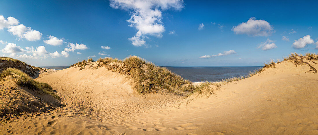 Dunes on the Rote Kliff in Kampen, Sylt, Schleswig-Holstein, Germany