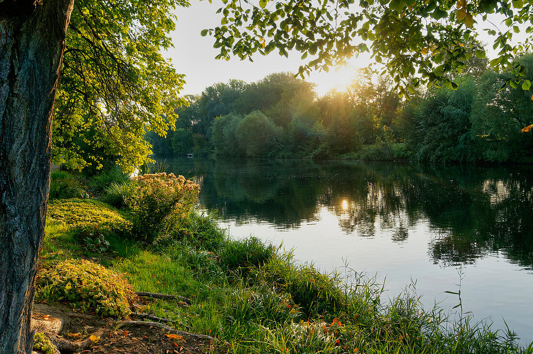 Freundschaftsinsel, Alte Fahrt der Havel, Potsdam, Land Brandenburg, Deutschland