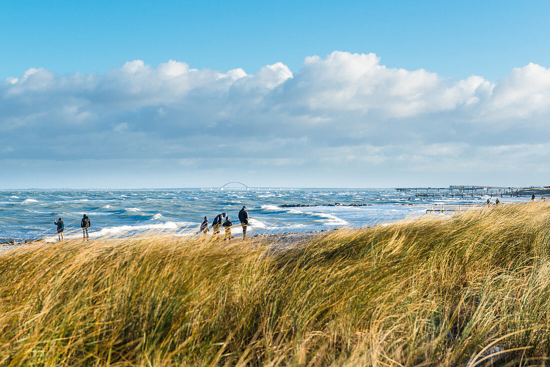 Spaziergang im Wintersturm, Heiligenhafen, Ostsee, Ostholstein, Schleswig-Holstein, Deutschland