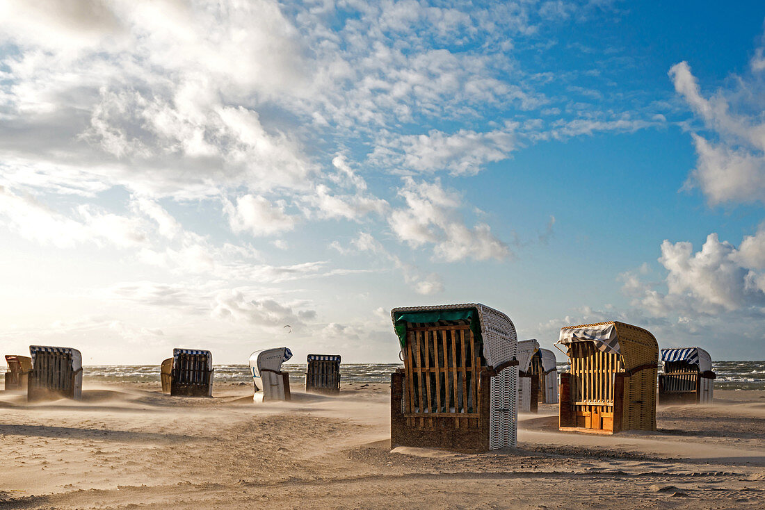 Beach chairs in the sandstorm, Heiligenhafen, Baltic Sea, Ostholstein Schleswig-Holstein, Germany