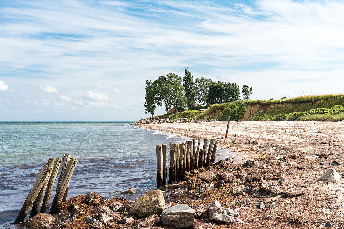 Groynes in the Dahmeshöved bay, Dahme, Baltic Sea, Schleswig-Holstein, Germany