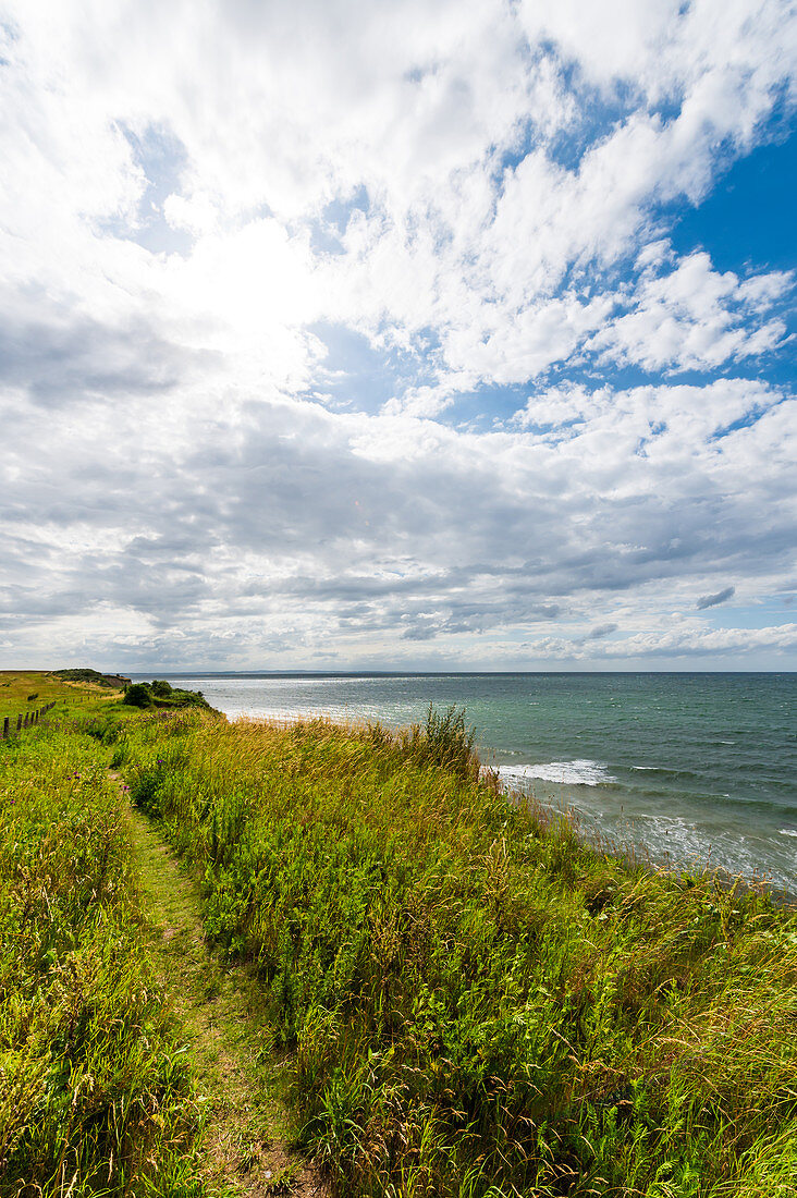 Wanderweg an der Steilküste in Dazendorf, Ostsee, Ostholstein, Schleswig-Holstein, Deutschland