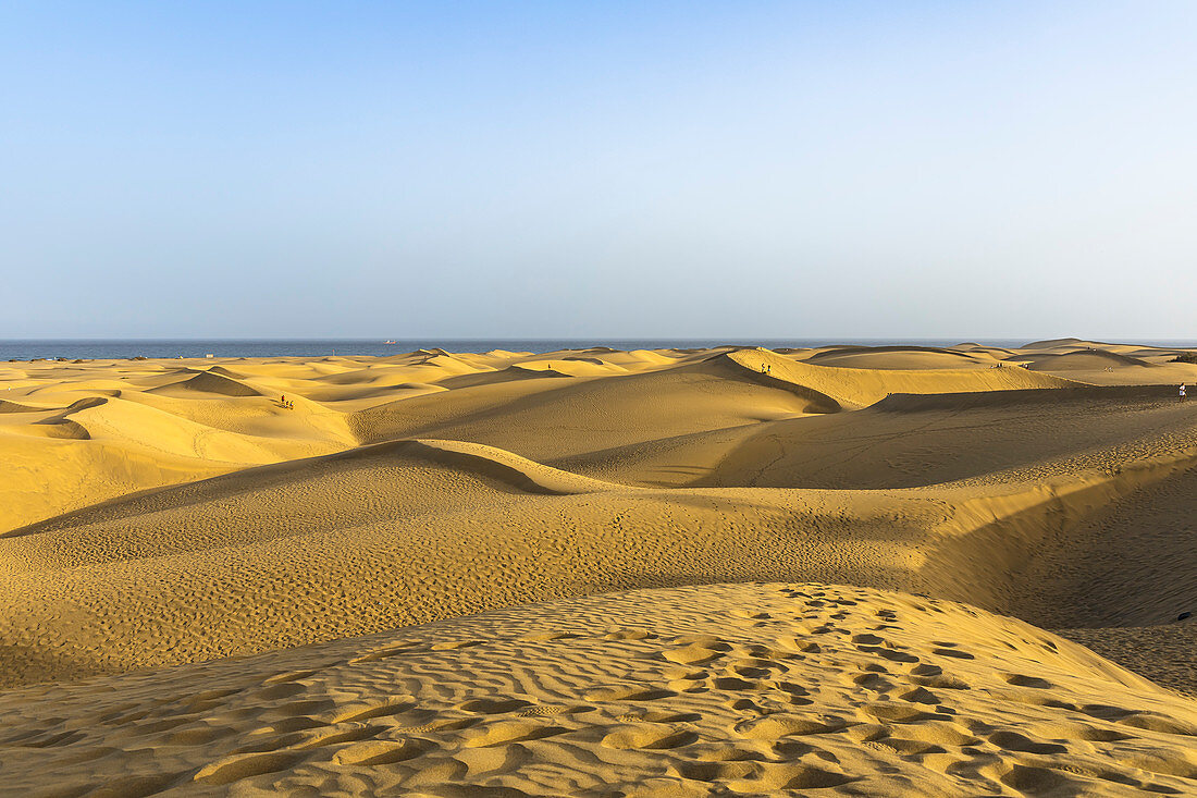 Sicht auf weite Landschaft der Dünen von Maspalomas im Abendlicht, Gran Canaria, Spanien