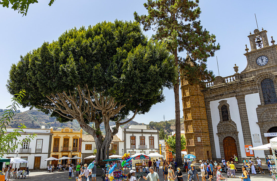 Large old tree in front of Basílica de Nuestra Señora del Pino - Church on the market square of &quot;Teror&quot;, Gran Canaria, Spain