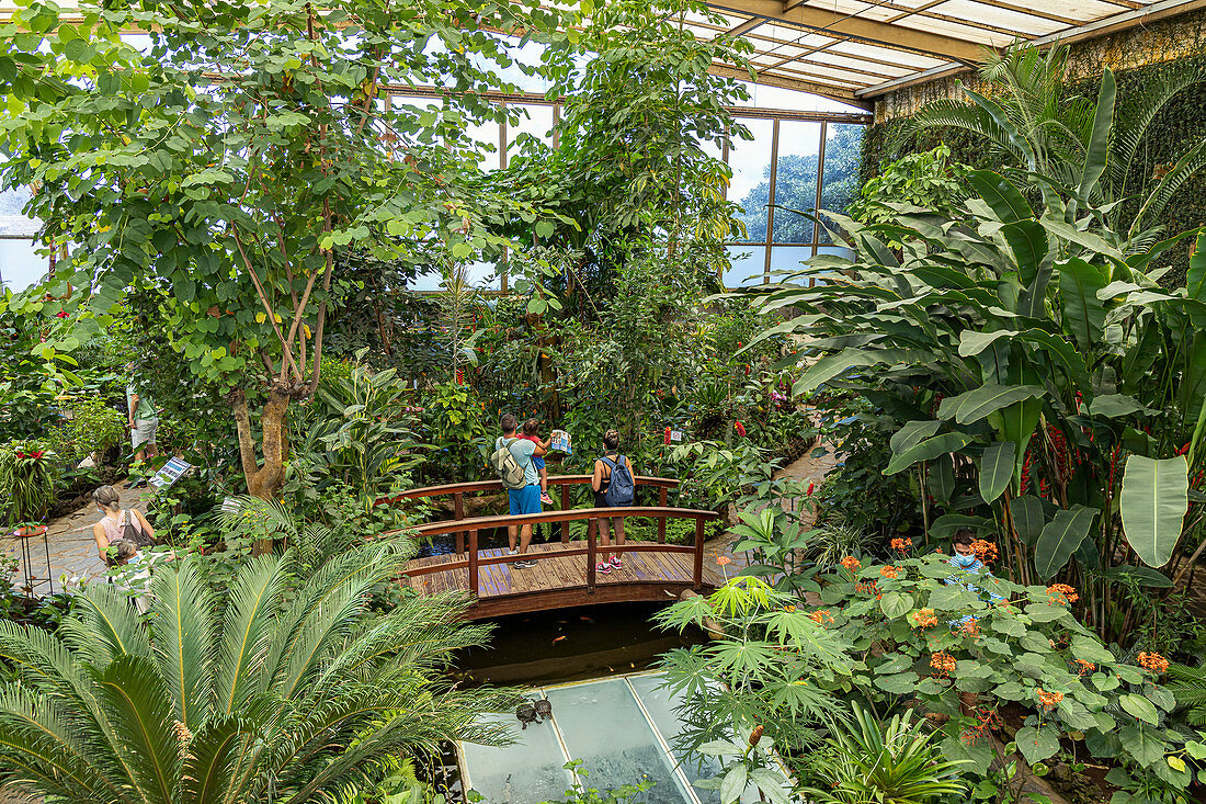 Butterfly Garden in Icod de los Vinos, Tenerife, Spain