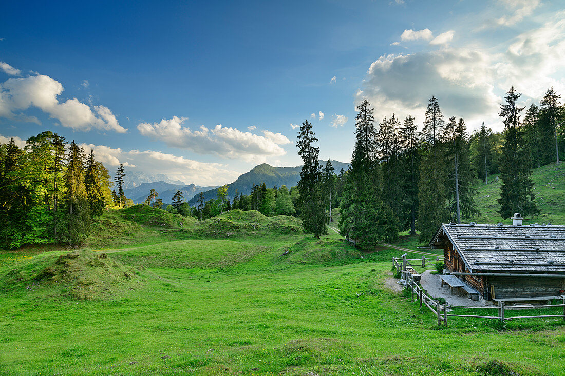 Traditional alpine building stands on hilly meadow, on the Ristfeuchthorn, Chiemgau Alps, Chiemgau, Upper Bavaria, Bavaria, Germany