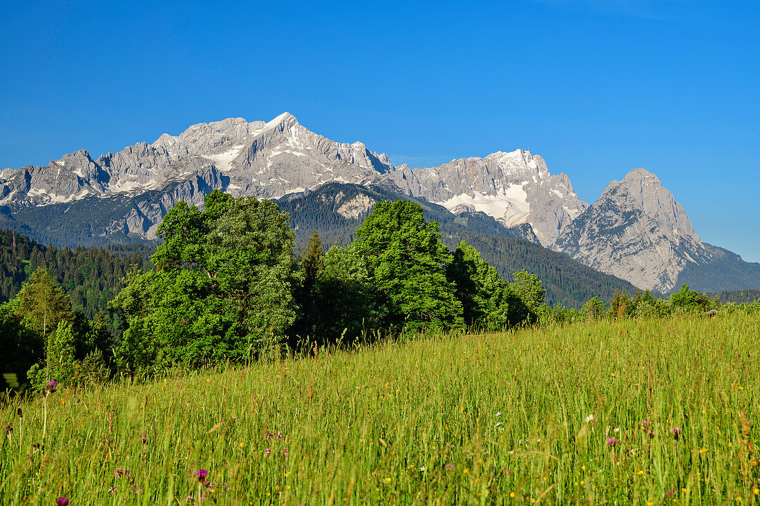 Wetterstein Mountains with Alpspitze and Zugspitze, Werdenfelser Land, Werdenfels, Bavarian Alps, Upper Bavaria, Bavaria, Germany