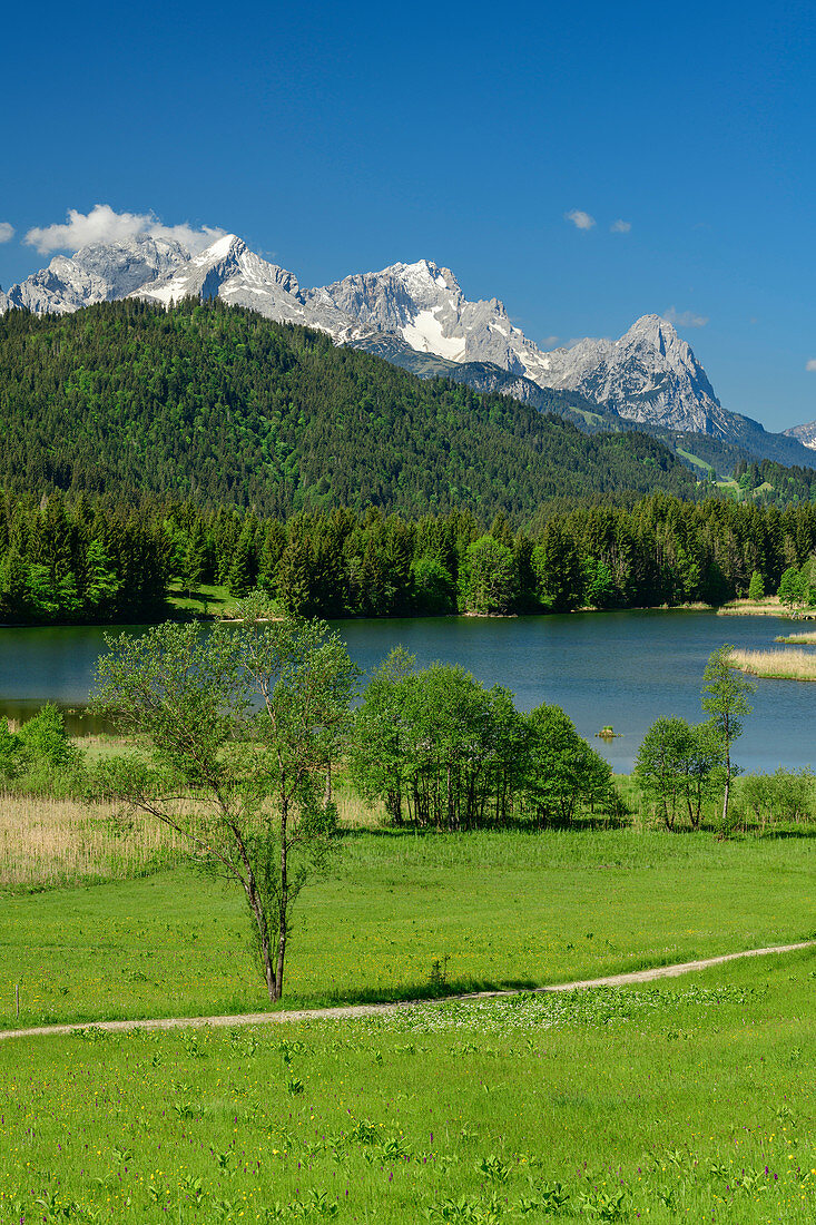Geroldsee mit Wetterstein mit Alpspitze und Zugspitze im Hintergrund, Werdenfelser Land, Werdenfels, Bayerische Alpen, Oberbayern, Bayern, Deutschland
