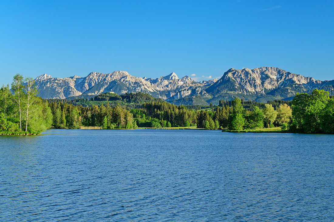 Schwaltenweiher mit Tannheimer Bergen im Hintergrund, Schwaltenweiher, Ostallgäu, Allgäu, Bayern, Deutschland