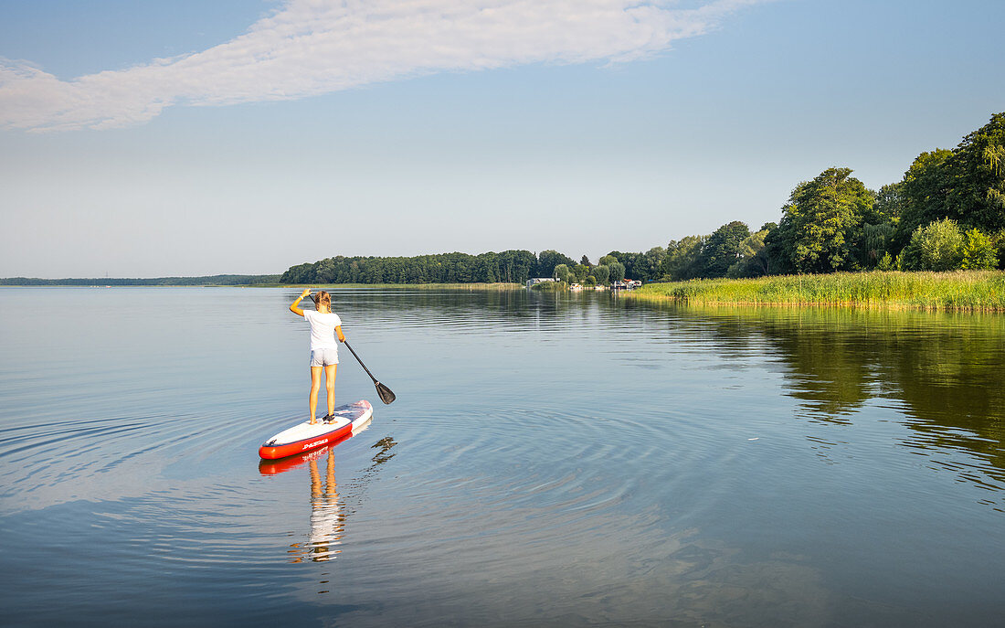 Stand-up paddlers at Himmelpfort, Schlabornsee, Brandenburg, Germany