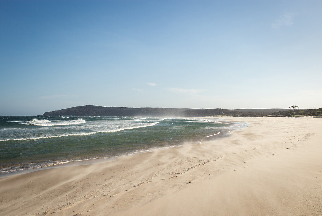 Back Beach in Angourie ist einer der berühmten Surf Spots rund um Yamba in New South Wales, Australien