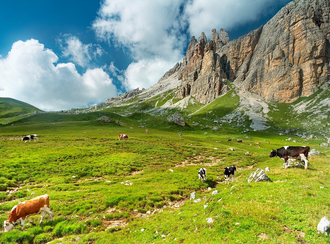 The dolomites of Zoldo, Pelmo mountain