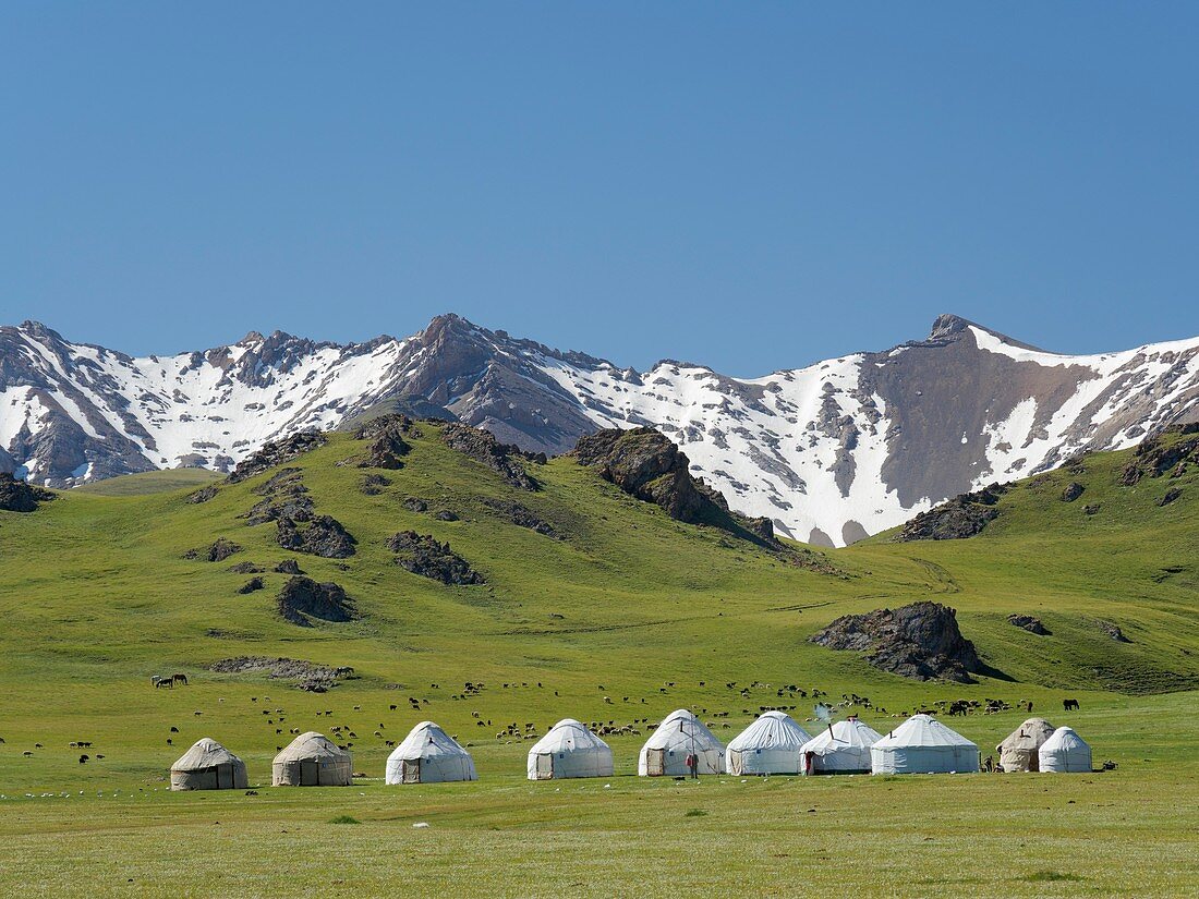 Yurts for tourists at lake Song Kol (Son Kul, Songkoel, Song-Koel).  Tien Shan mountains or heavenly mountains in Kirghizia. Asia, central Asia, Kyrgyzstan