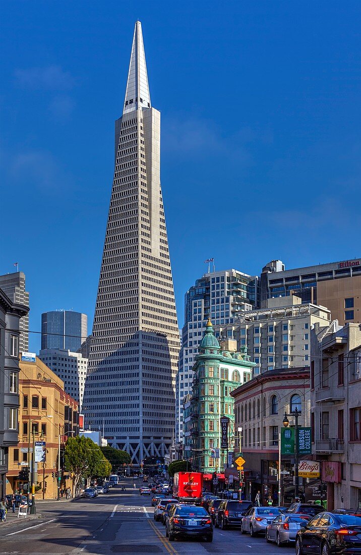 Finanzviertel und Transamerica Pyramid in San Francisco, Kalifornien, USA