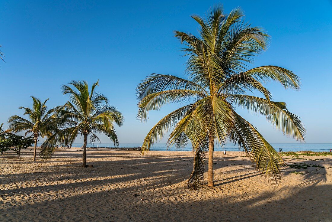 Palm fringed Cape Point beach, Bakau, Gambia, West Africa