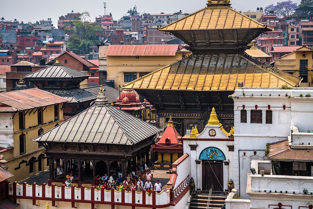 Pashupati Nath Tempel im Pashupatinath Komplex, Kathmandu, Nepal