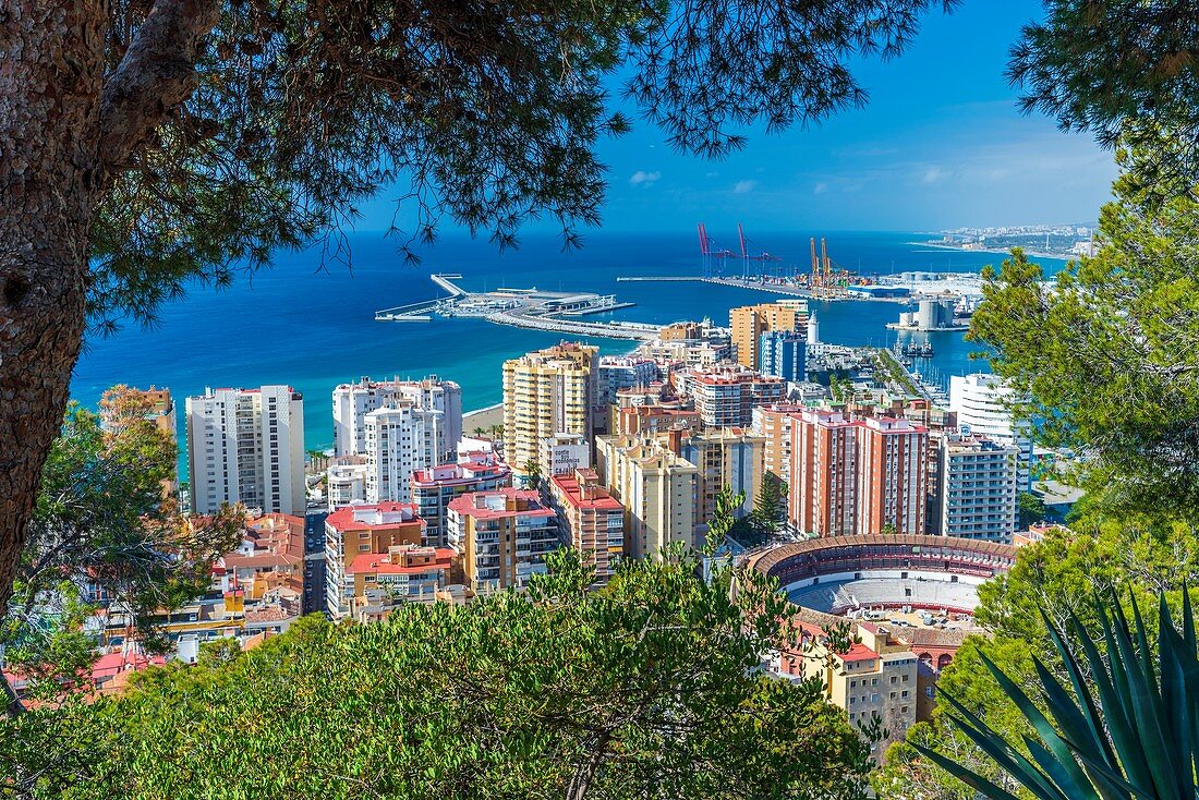 Blick von Mirador de Gibralfaro auf Málaga, Andalusien, Spanien, Europa
