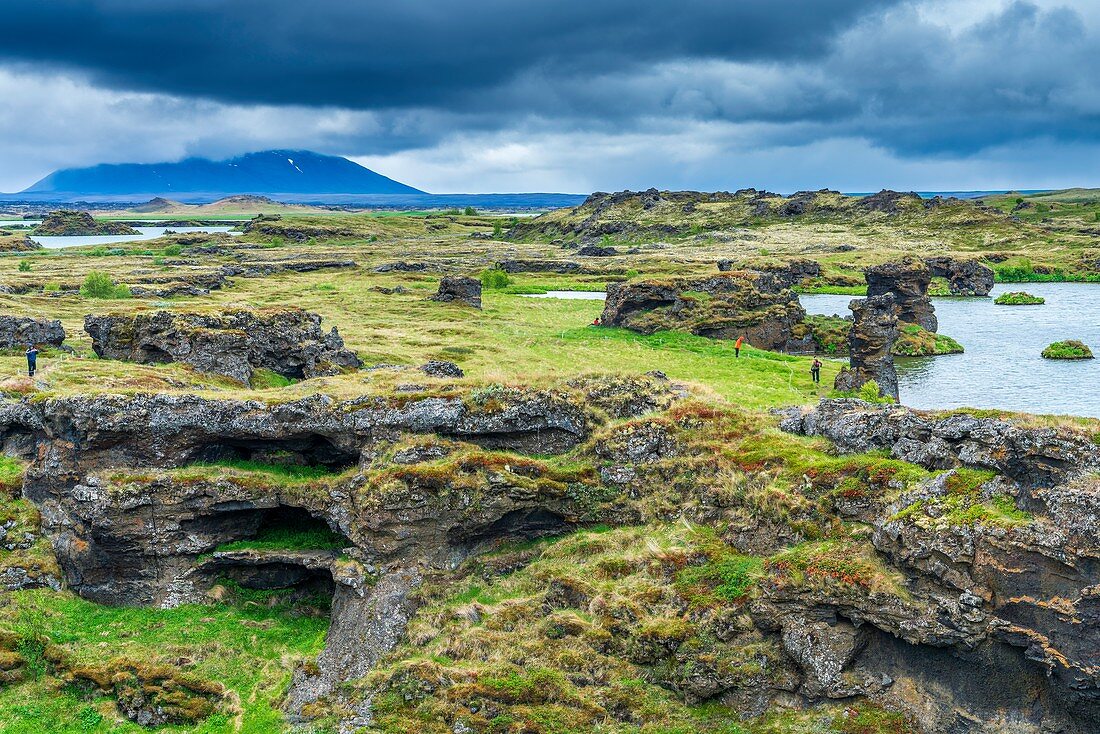 Panoramapunkt des Myvatn-Sees, westliches Nordland, Island