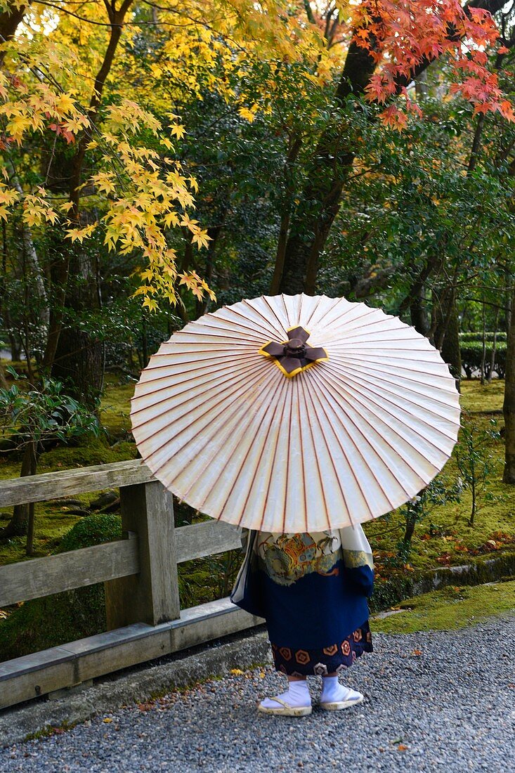 Junge mit einem Regenschirm in Ise jinju, Honshu, Japan, Asien
