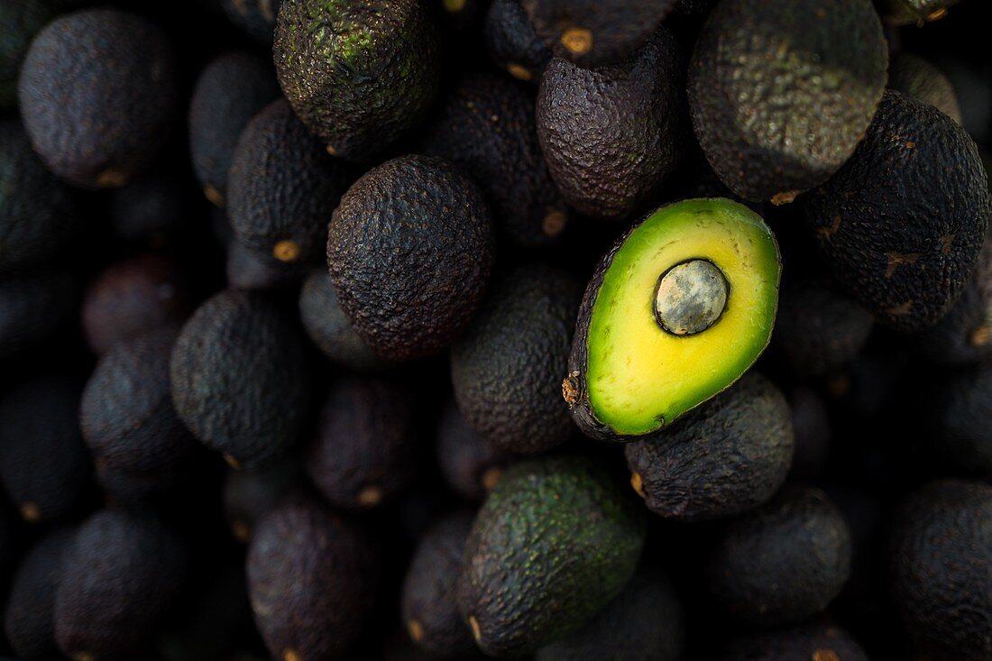 Ripe, black-purplish Hass avocados are seen offered for sale in the street of Medellín, Antioquia department, Colombia, 28 November 2019.