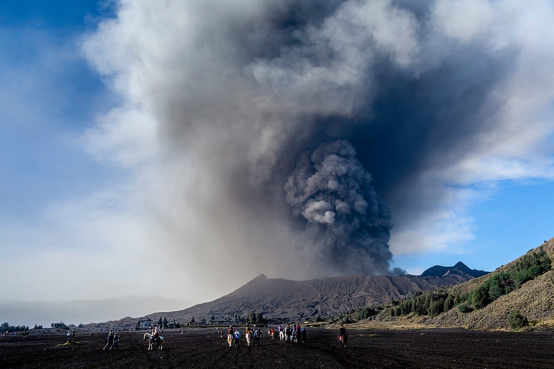 Mount Bromo (Eruption) und das Sandmeer, Nationalpark Bromo-Tengger-Semeru, Java, Indonesien