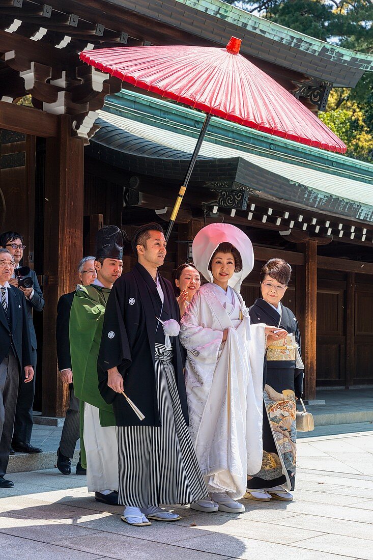 Tokyo, Japan, Traditionelle Hochzeitszeremonie am Meiji Jingu Shinto Schrein