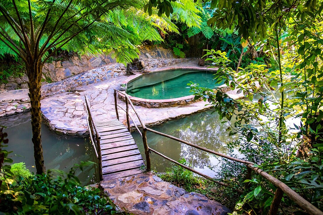 Swimmingpool in the tropical nature of Topes de Collantes, Trinidad, Republic of Cuba, Caribbean, Central America.