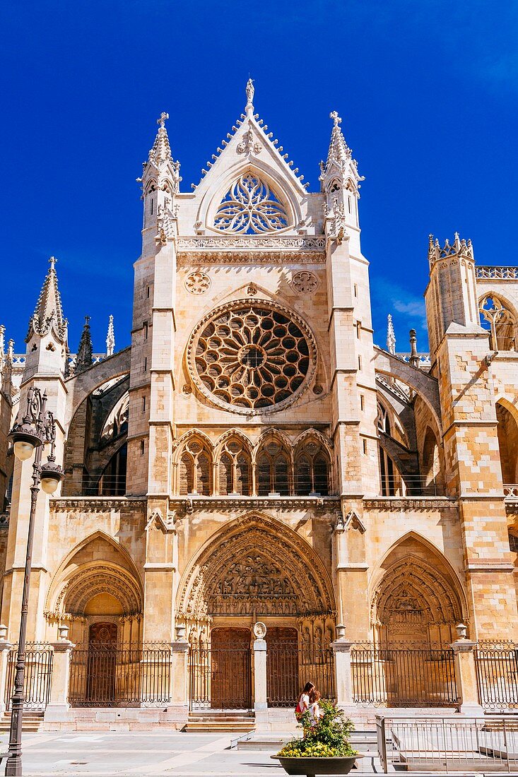 Die gotische Kathedrale Santa María de Regla von León, auch das Haus des Lichts oder die Pulchra Leonina genannt, Südfassade, Französischer Weg, Jakobsweg, León, Castilla y León, Spanien, Europa