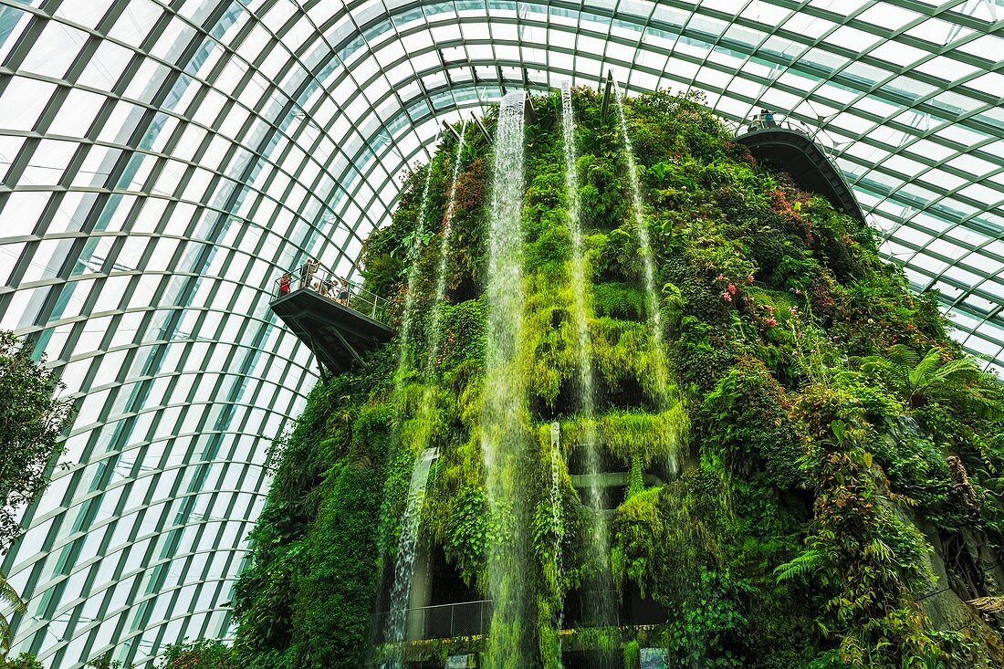 The Fall in the Cloud Forest Dome, Gardens by the Bay, Singapore, Republic of Singapore