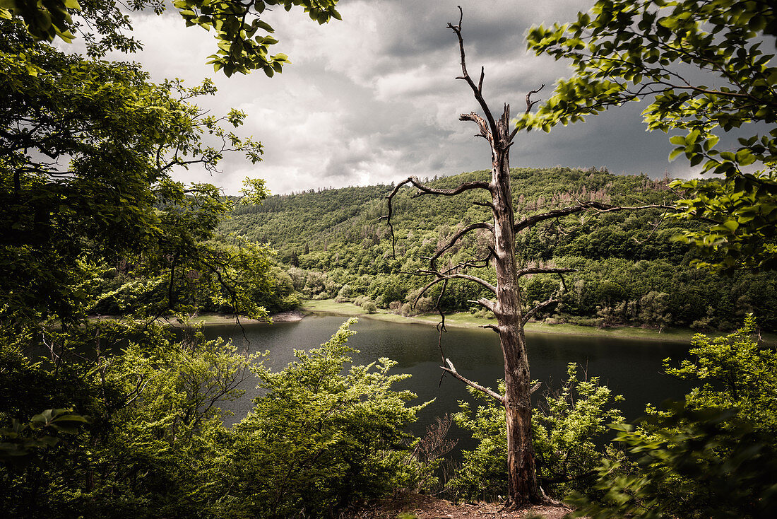 Blick von der Hünselburg zum Ringelsberg, Mündung Bärenbach und Eder, Nationalpark Kellerwald-Edersee, Hessen, Deutschland, Europa