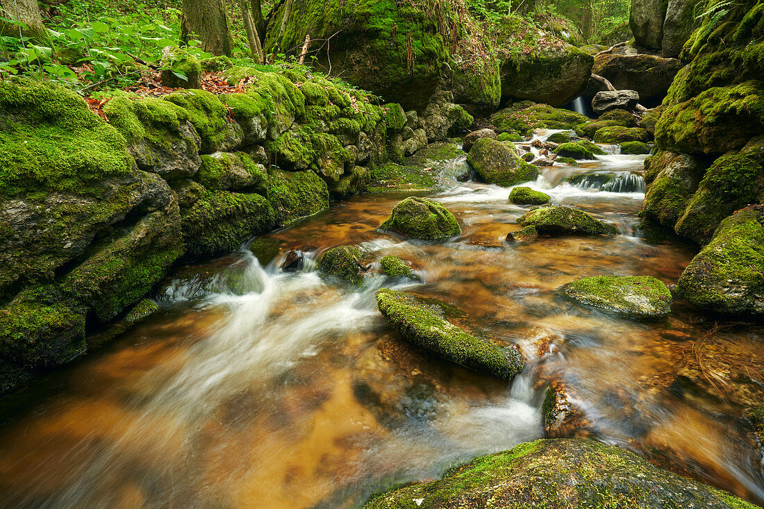 Bachlauf der Ysper in der Ysperklamm im Waldviertel, Niederösterreich, Österreich