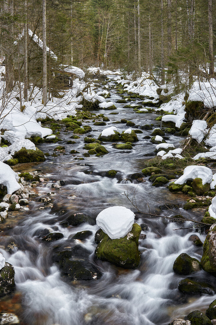 Winterlicher Bachlauf der Pießling, Oberösterreich, Österreich