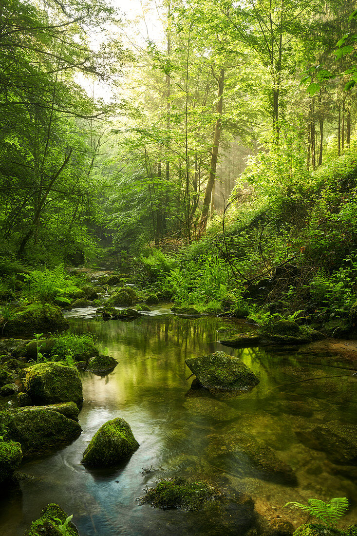 Spring in the Stillensteinklamm in Upper Austria, Austria.