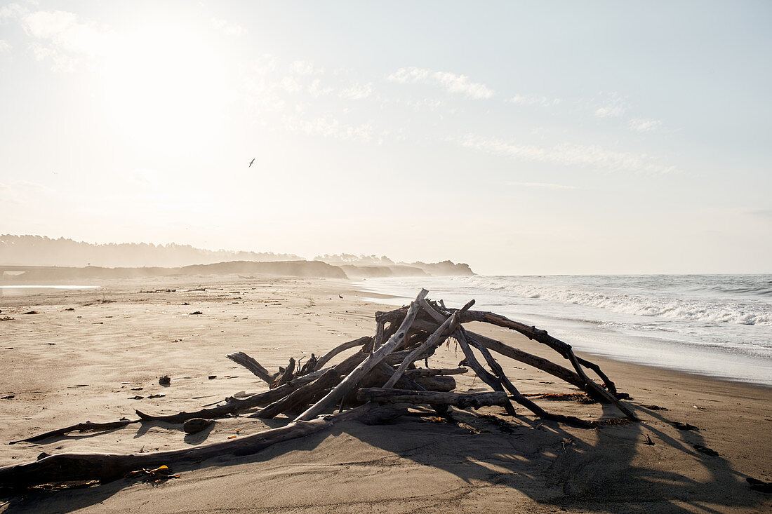 Treibholz am Strand des Hearst San Simeon State Parks\nam frühen Morgen, Kalifornien, USA.