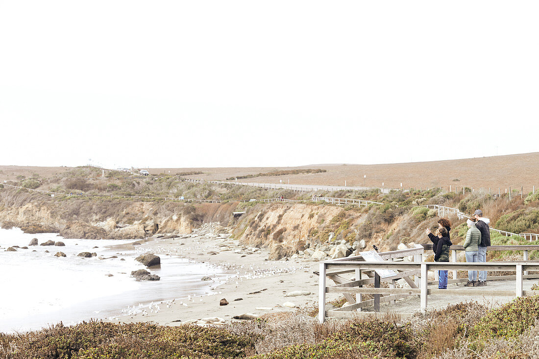Touristen auf Aussichtsplattform um Seelöwen am Highway 1 zu beobachten, Kalifornien, USA.