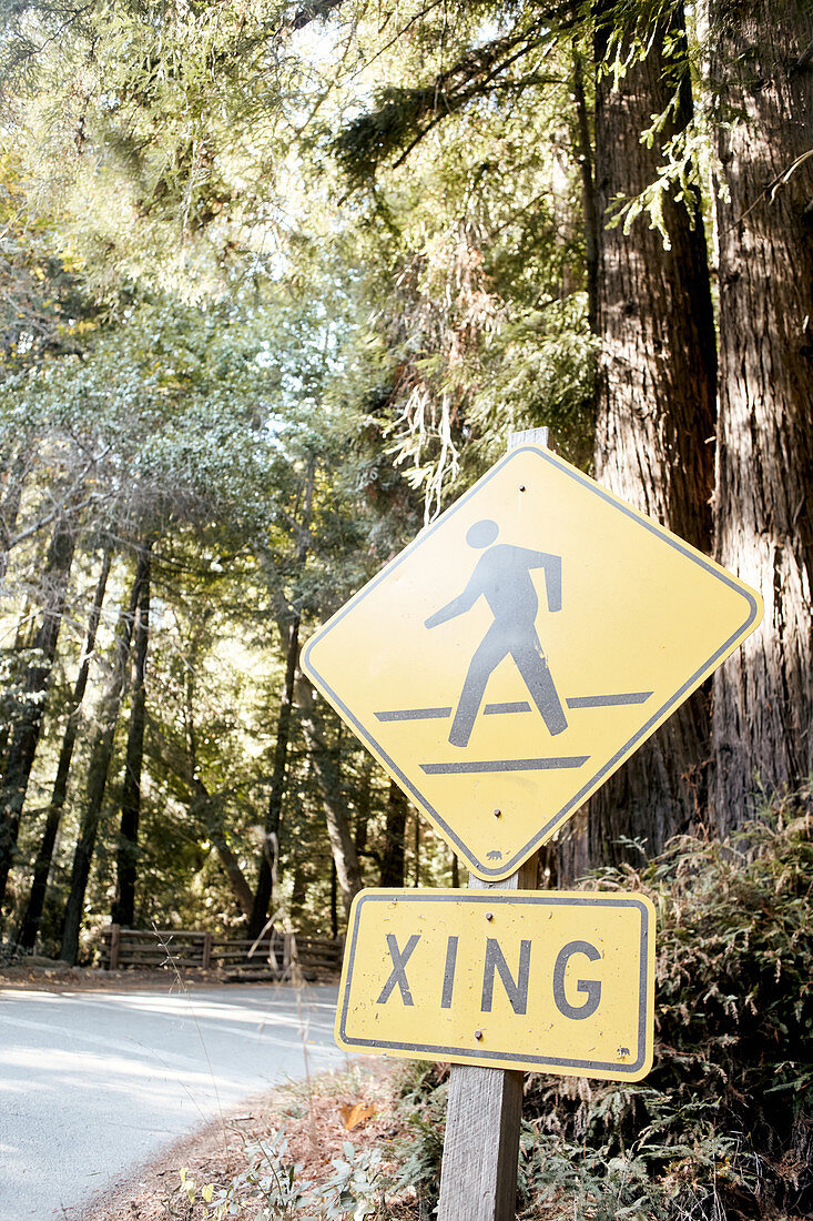 „Pedestrians Crossing“ im Pfeiffer Big Sur State Park, Kalifornien, USA.