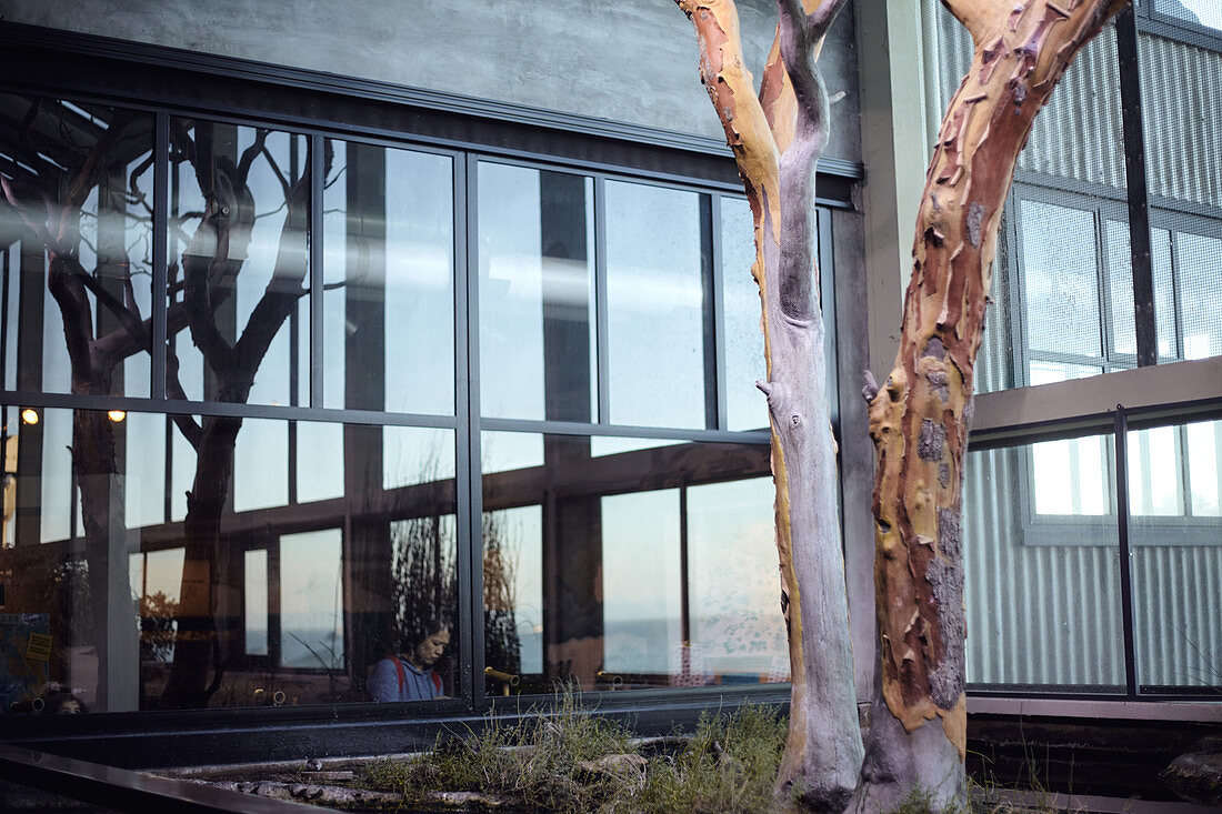 Mann mit Fenster und Spiegelung im Monterey Bay Aquarium in Monterey, Kalifornien, USA.