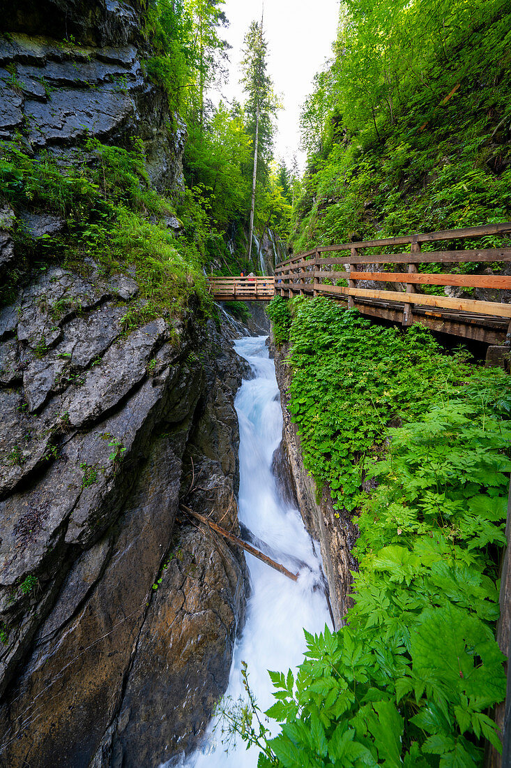 Blick auf die Steilwände und den Holzpfad in der Wimbachklamm, Berchtesgadener Land, Bayern, Deutschland