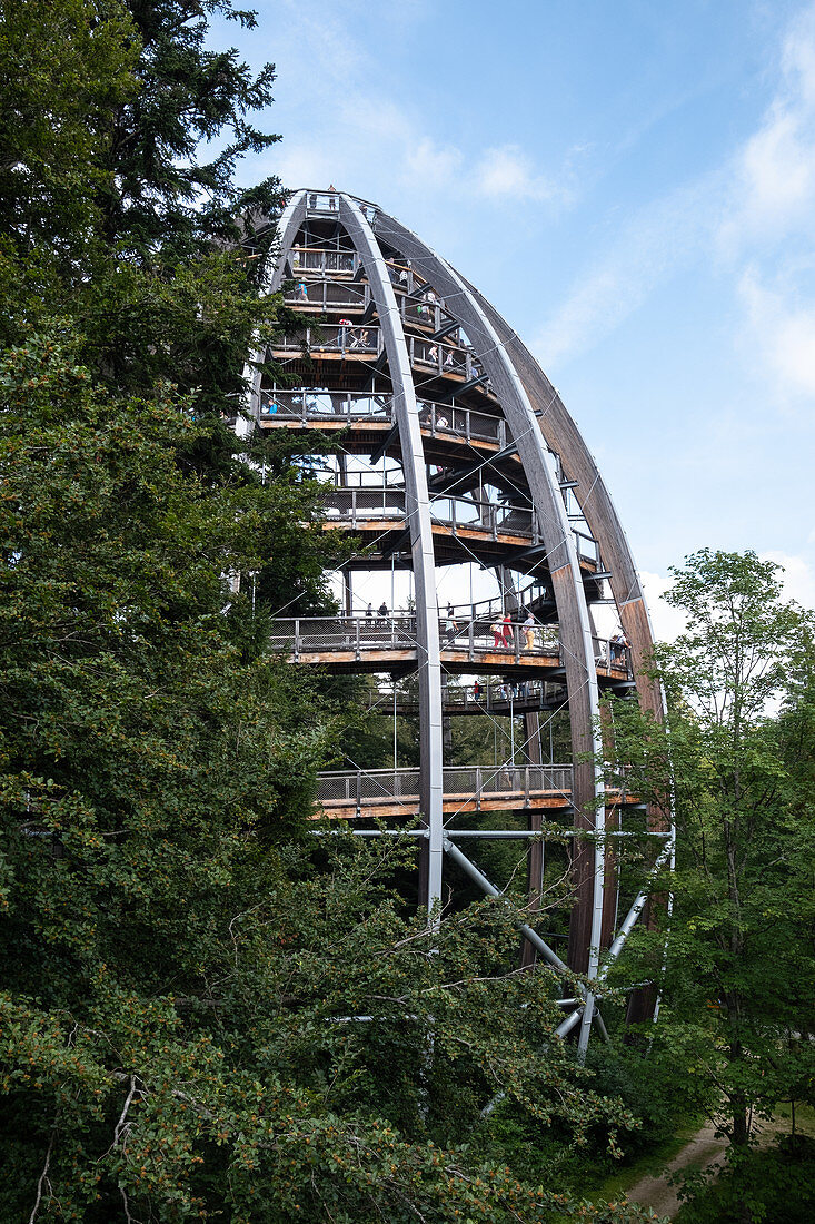 View of the observation tower on the treetop path in Neuschönau, Bavarian Forest National Park, Neuschönau, Bavaria, Germany, Europe