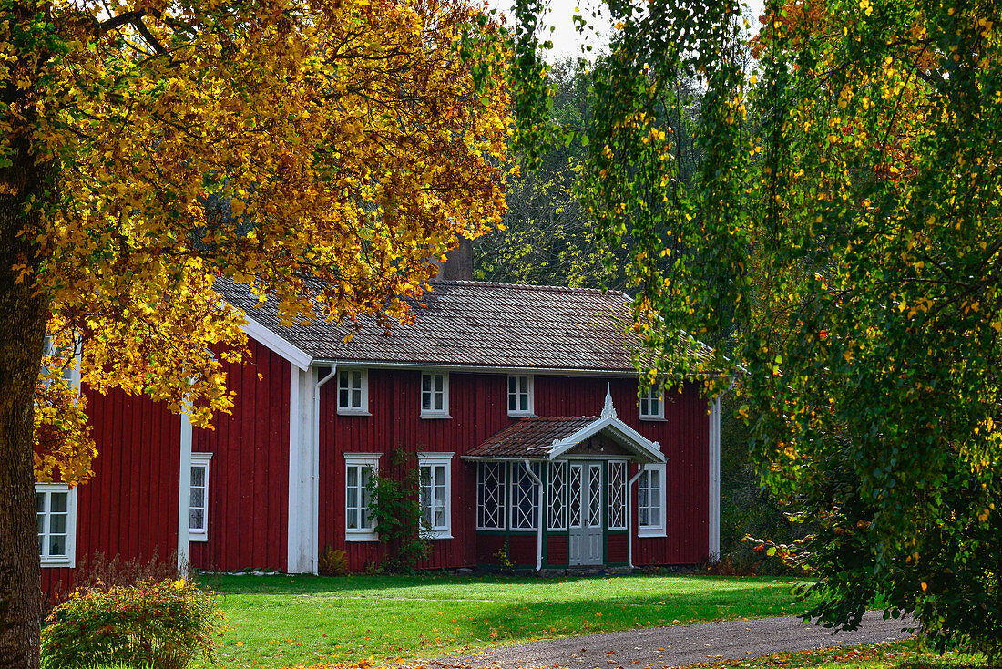 Alte Holzvilla umgeben von herbstlichem Laub, bei Vittaryd, Kronobergs Län, Schweden